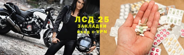 амф Алагир