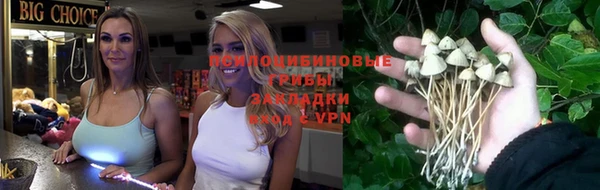 прущая мука Чердынь