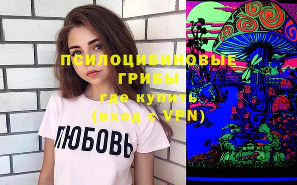 шишки Чегем