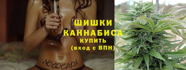 PSILOCYBIN Вязники