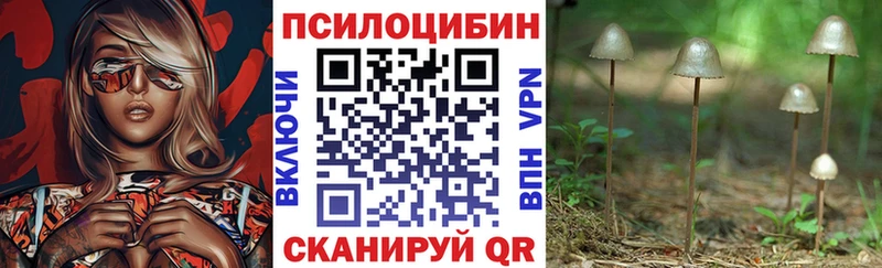 mega как войти  Батайск  Псилоцибиновые грибы MAGIC MUSHROOMS  где купить наркотик 